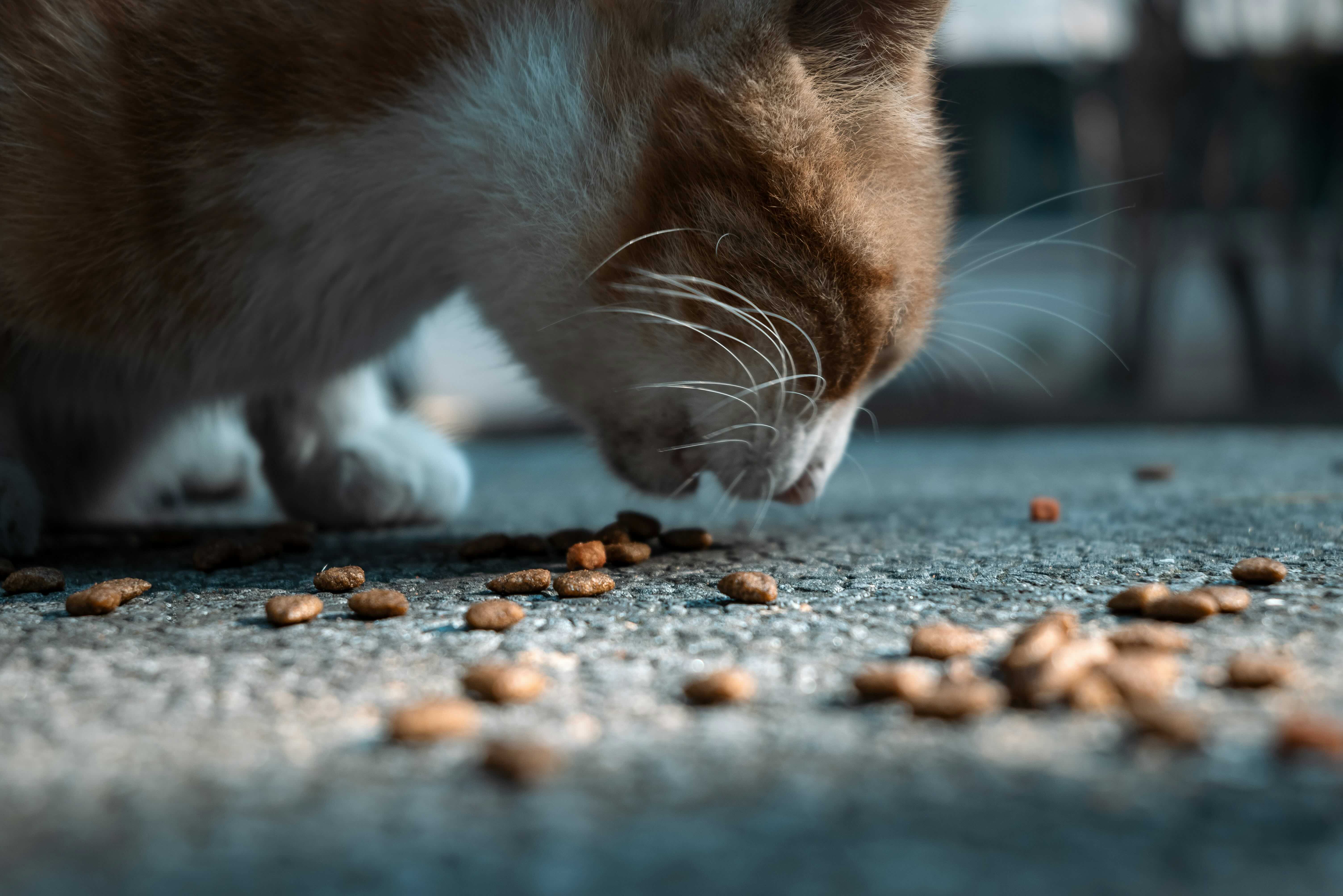 j-dddd-3ctjuznsy08-unsplash